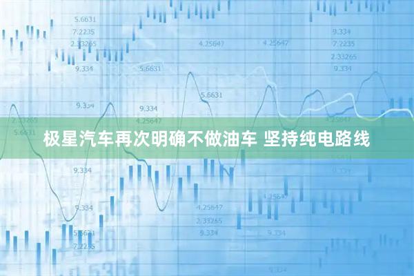 极星汽车再次明确不做油车 坚持纯电路线